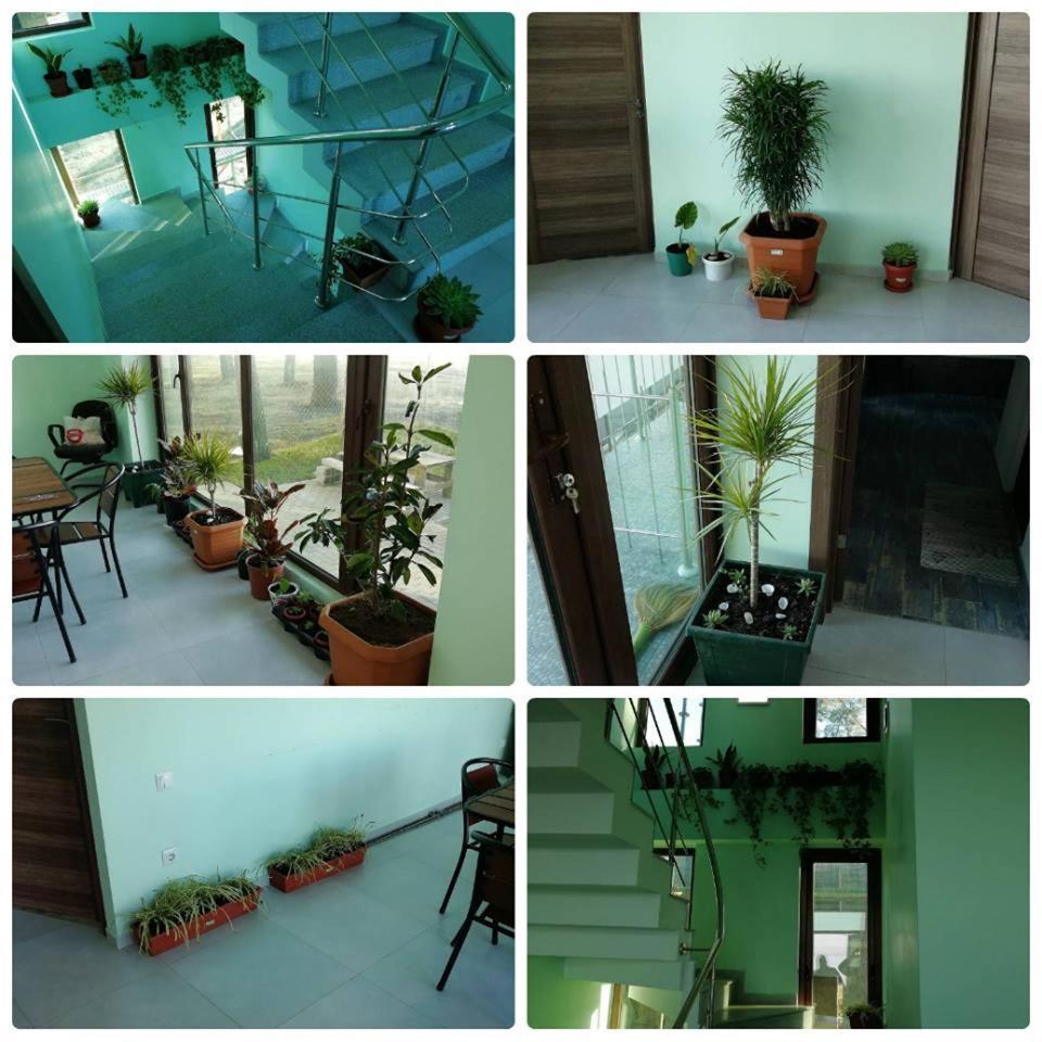 Shekvetili Green House Buitenkant foto